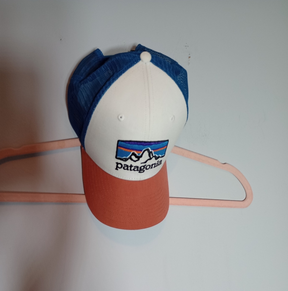 Patagonia Blue and White Cap